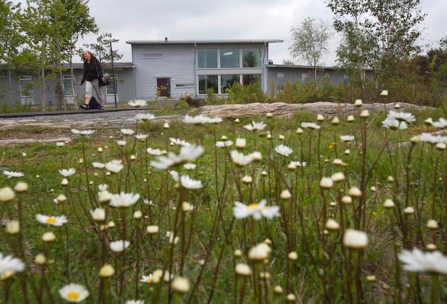 Loftadalens Folkhogskola Hotell Åsa Eksteriør bilde